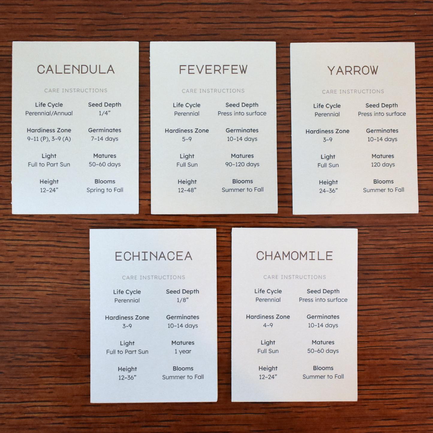 Medicinal Herb Seed Set