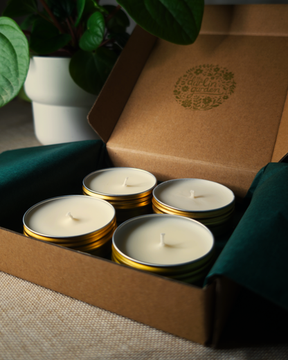 Fall Collection Candle Discovery Set