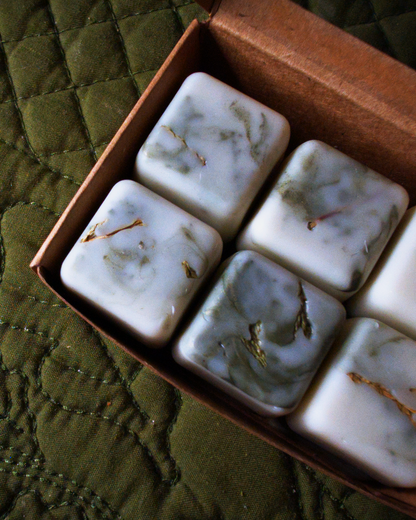 Fraser Fir Forest Shimmer Wax Melts