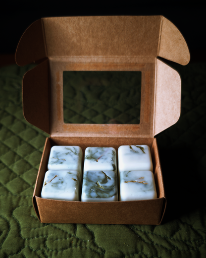 Fraser Fir Forest Shimmer Wax Melts