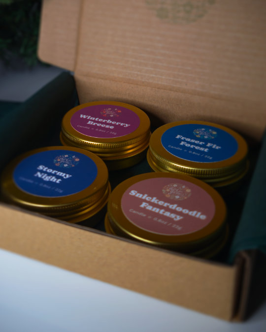 Winter Collection Candle Discovery Set