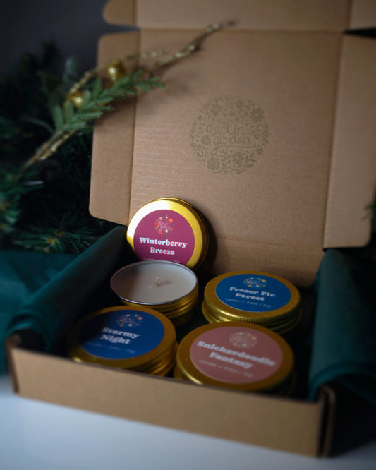 Winter Collection Candle Discovery Set